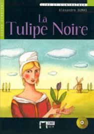 TULIPE NOIRE, LA (CHAT NOIR GRAND DEBUTANT) | 9788431678432 | DUMAS, ALEXANDRE | Llibreria Drac - Librería de Olot | Comprar libros en catalán y castellano online