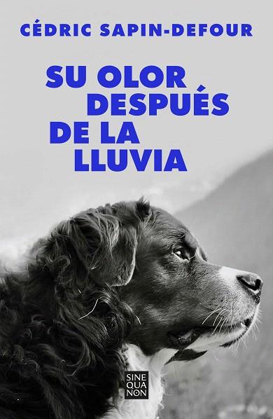 SU OLOR DESPUÉS DE LA LLUVIA | 9788466678766 | SAPINDEFOUR, CÉDRIC | Llibreria Drac - Llibreria d'Olot | Comprar llibres en català i castellà online