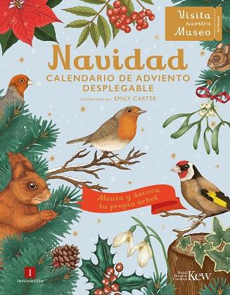 NAVIDAD. CALENDARIO DE ADVIENTO DESPLEGABLE | 9788419581624 | CARTER, EMILY | Llibreria Drac - Llibreria d'Olot | Comprar llibres en català i castellà online