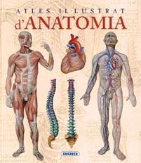 ATLES IL·LUSTRAT D'ANATOMIA | 9788467702101 | RIGUTTI, ADRIANA | Llibreria Drac - Llibreria d'Olot | Comprar llibres en català i castellà online