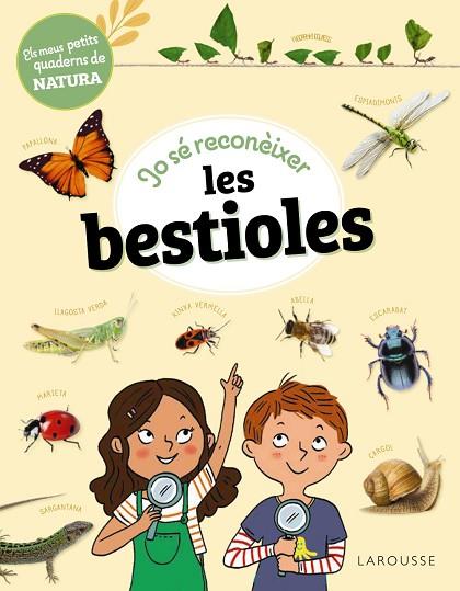 JO SÉ RECONÈIXER LES BESTIOLES | 9788419436283 | LEBRUN, SANDRA | Llibreria Drac - Llibreria d'Olot | Comprar llibres en català i castellà online