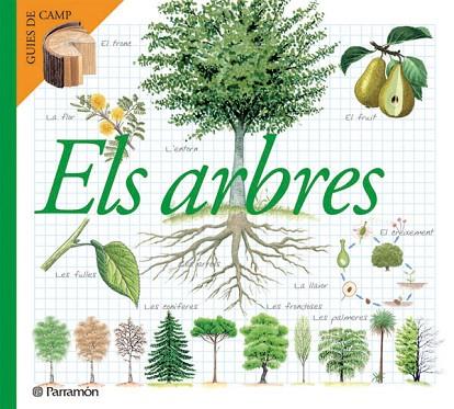 ARBRES, ELS | 9788434228320 | VARIS | Llibreria Drac - Librería de Olot | Comprar libros en catalán y castellano online