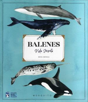 BALENES VIDA SECRETA | 9788412247954 | ORTEGA, RENA | Llibreria Drac - Llibreria d'Olot | Comprar llibres en català i castellà online