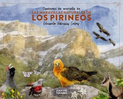 CUADERNO DE MONTAÑA DE LAS MARAVILLAS NATURALES DE LOS PIRINEOS | 9788491586036 | VIÑUALES, EDUARDO | Llibreria Drac - Llibreria d'Olot | Comprar llibres en català i castellà online