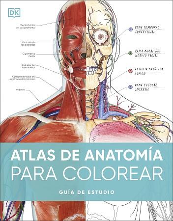 ATLAS DE ANATOMÍA PARA COLOREAR | 9780241703090 | DK | Llibreria Drac - Llibreria d'Olot | Comprar llibres en català i castellà online