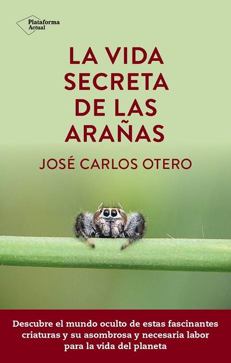 VIDA SECRETA DE LAS ARAÑAS, LA | 9788419655189 | OTERO, JOSÉ CARLOS | Llibreria Drac - Llibreria d'Olot | Comprar llibres en català i castellà online