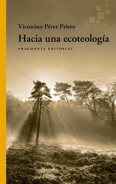 HACIA UNA ECOTEOLOGÍA | 9788417796815 | PÉREZ PRIETO, VICTORINO | Llibreria Drac - Llibreria d'Olot | Comprar llibres en català i castellà online