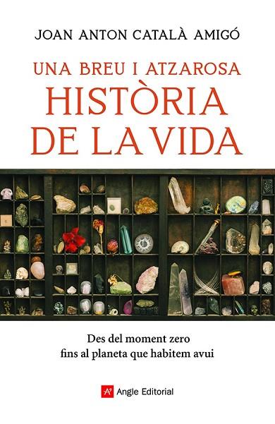 UNA BREU I ATZAROSA HISTÒRIA DE LA VIDA | 9788418197956 | CATALÀ, JOAN ANTON | Llibreria Drac - Llibreria d'Olot | Comprar llibres en català i castellà online