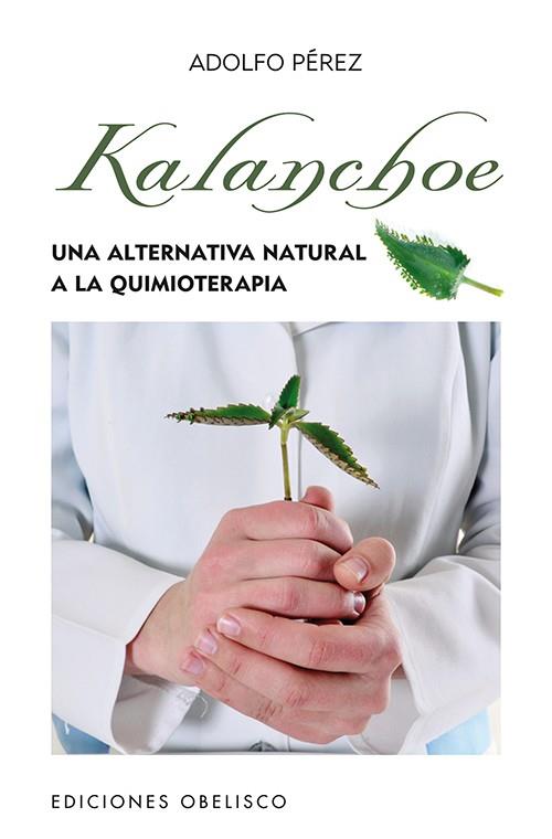 KALANCHOE (BOLSILLO) | 9788497778862 | PÉREZ AGUSTÍ, ADOLFO | Llibreria Drac - Llibreria d'Olot | Comprar llibres en català i castellà online