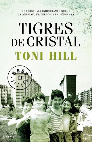 TIGRES DE CRISTAL | 9788466347204 | HILL, TONI | Llibreria Drac - Librería de Olot | Comprar libros en catalán y castellano online