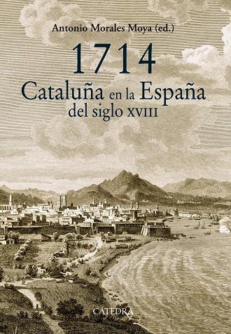 1714. CATALUÑA EN LA ESPAÑA DEL SIGLO XVIII | 9788437633145 | MORALES, ANTONIO | Llibreria Drac - Llibreria d'Olot | Comprar llibres en català i castellà online