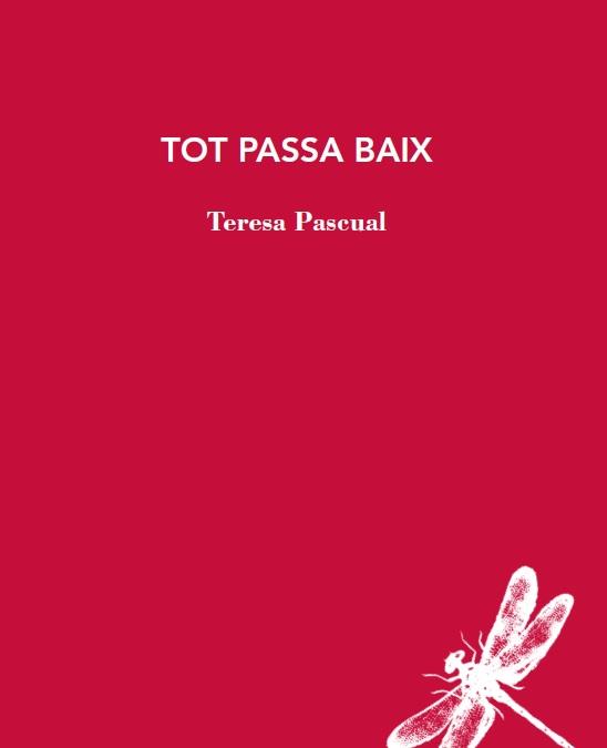 TOT PASSA BAIX | 9788412577426 | PASCUAL, TERESA | Llibreria Drac - Llibreria d'Olot | Comprar llibres en català i castellà online