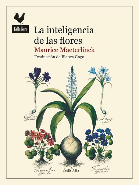 INTELIGENCIA DE LAS FLORES, LA | 9788419168016 | MAETERLINCK, MAURICE | Llibreria Drac - Librería de Olot | Comprar libros en catalán y castellano online