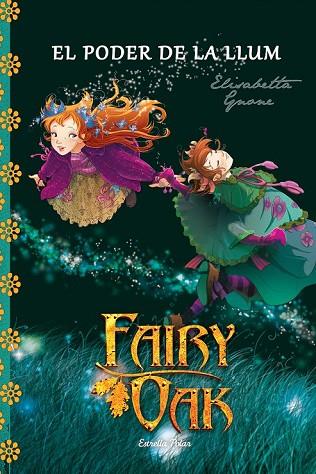 PODER DE LA LLUM, EL ( FAIRY OAK LLIBRE TERCER ) | 9788490575635 | GNONE, ELISABETTA | Llibreria Drac - Librería de Olot | Comprar libros en catalán y castellano online