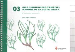 GUIA SUBMERGIBLE D'ESPECIES MARINES DE LA COSTA BRAVA | 9788496747753 | CORBERA, JORDI;MARI, MARC | Llibreria Drac - Llibreria d'Olot | Comprar llibres en català i castellà online