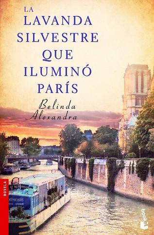 LAVANDA SILVESTRE QUE ILUMINÓ PARÍS, LA | 9788427030138 | ALEXANDRA, BELINDA | Llibreria Drac - Llibreria d'Olot | Comprar llibres en català i castellà online