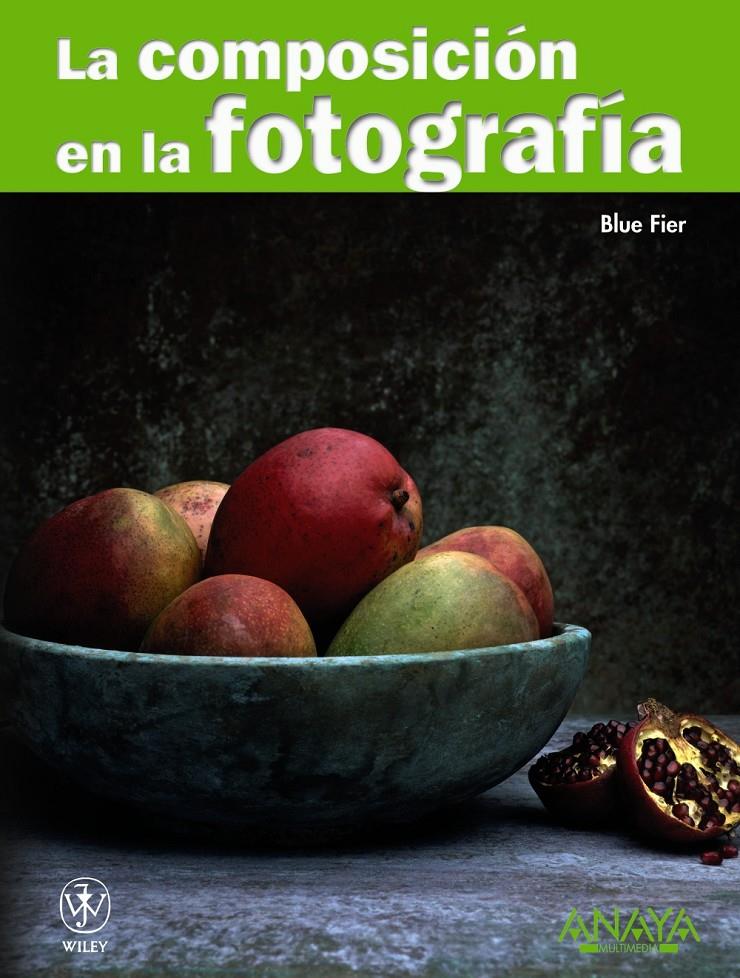 COMPOSICION EN LA FOTOGRAFIA, LA | 9788441526983 | FIER, BLUE | Llibreria Drac - Llibreria d'Olot | Comprar llibres en català i castellà online