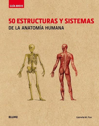 50 ESTRUCTURAS Y SISTEMAS DE LA ANATOMÍA HUMANA (GUIA BREVE) | 9788417056056 | FINN, GABRIELLE M. | Llibreria Drac - Librería de Olot | Comprar libros en catalán y castellano online