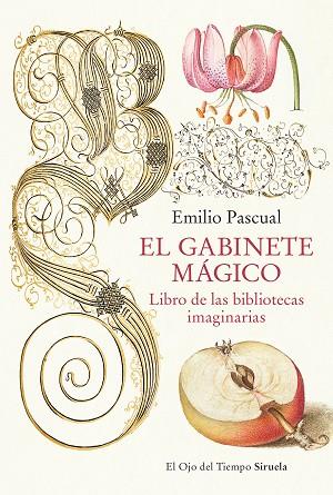 GABINETE MÁGICO, EL | 9788419553041 | PASCUAL, EMILIO | Llibreria Drac - Llibreria d'Olot | Comprar llibres en català i castellà online