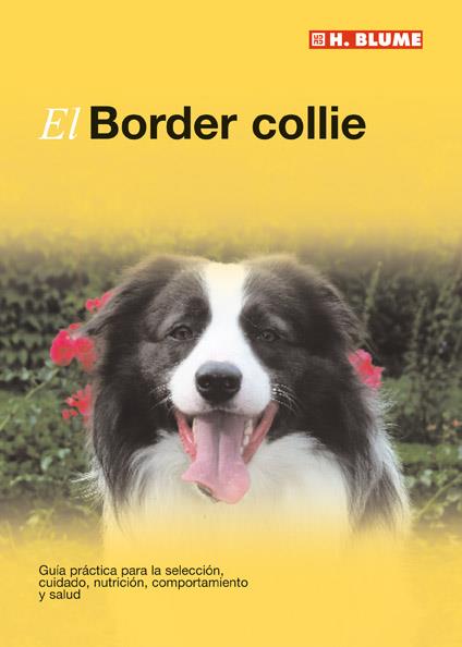 BORDER COLLIE, EL | 9788496669116 | AA.VV. | Llibreria Drac - Librería de Olot | Comprar libros en catalán y castellano online