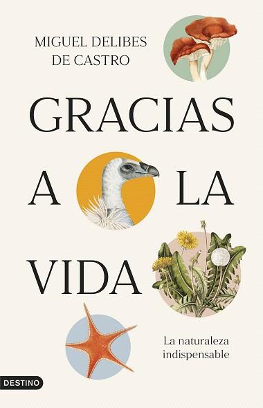 GRACIAS A LA VIDA | 9788423365821 | DELIBES, MIGUEL | Llibreria Drac - Llibreria d'Olot | Comprar llibres en català i castellà online