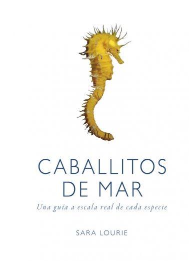 CABALLITOS DE MAR | 9788428216807 | LOURIE, SARA | Llibreria Drac - Librería de Olot | Comprar libros en catalán y castellano online