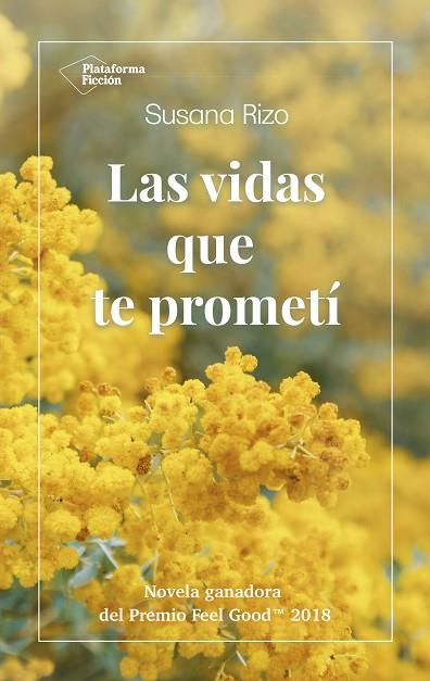 VIDAS QUE TE PROMETÍ, LAS | 9788417622022 | RIZO, SUSANA | Llibreria Drac - Llibreria d'Olot | Comprar llibres en català i castellà online