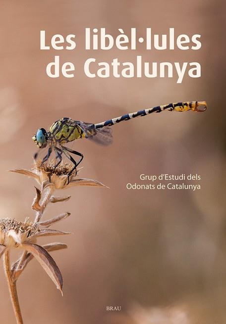 LIBÈL·LULES DE CATALUNYA, LES | 9788415885467 | GRUP D'ESTUDIS DELS ODONATS DE CATALUNYA | Llibreria Drac - Librería de Olot | Comprar libros en catalán y castellano online