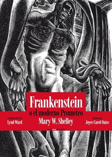 FRANKENSTEIN | 9788415601401 | SHELLEY, MARY | Llibreria Drac - Llibreria d'Olot | Comprar llibres en català i castellà online