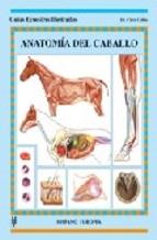 ANATOMÍA DEL CABALLO | 9788425515736 | COLLES, CHRIS | Llibreria Drac - Librería de Olot | Comprar libros en catalán y castellano online