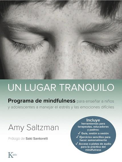 UN LUGAR TRANQUILO | 9788499887562 | SALTZMAN, AMY | Llibreria Drac - Llibreria d'Olot | Comprar llibres en català i castellà online