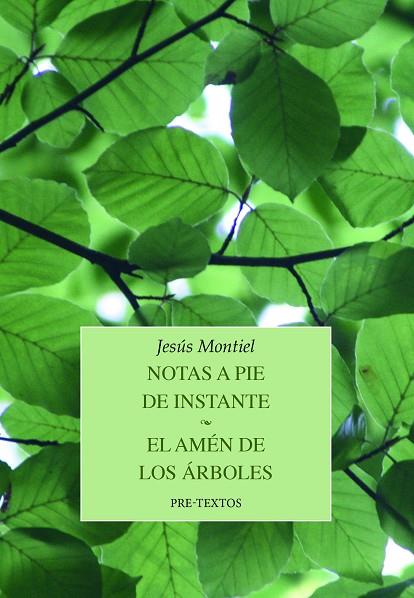 NOTAS A PIE DE INSTANTE | EL AMÉN DE LOS ÁRBOLES | 9788419633255 | MONTIEL, JESÚS | Llibreria Drac - Llibreria d'Olot | Comprar llibres en català i castellà online