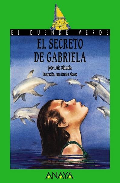 SECRETO DE GABRIELA, EL | 9788420731018 | OLAIZOLA, JOSE LUIS | Llibreria Drac - Librería de Olot | Comprar libros en catalán y castellano online