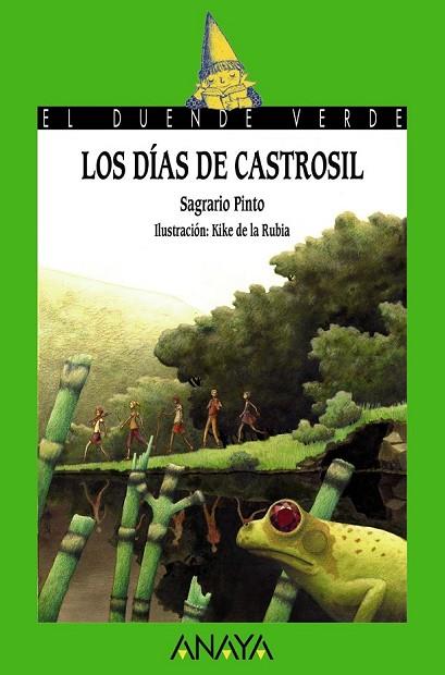 DIAS DE CASTROSIL, LOS | 9788467840636 | PINTO, SAGRARIO | Llibreria Drac - Librería de Olot | Comprar libros en catalán y castellano online