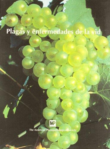 PLAGAS Y ENFERMEDADES DE LA VID | 9788471146076 | AMERICAN PHYTOPATHOLOGICAL SOCIETY | Llibreria Drac - Librería de Olot | Comprar libros en catalán y castellano online