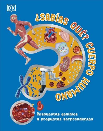 ¿SABÍAS QUÉ? CUERPO HUMANO | 9780241702697 | DK | Llibreria Drac - Llibreria d'Olot | Comprar llibres en català i castellà online