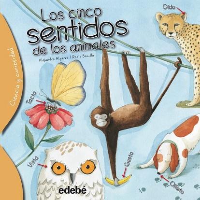 CINC SENTITS DELS ANIMALS, ELS (CIÈNCIA I CURIOSITAT) | 9788468329635 | ALGARRA, ALEJANDRO / BONILLA, ROCIO | Llibreria Drac - Llibreria d'Olot | Comprar llibres en català i castellà online