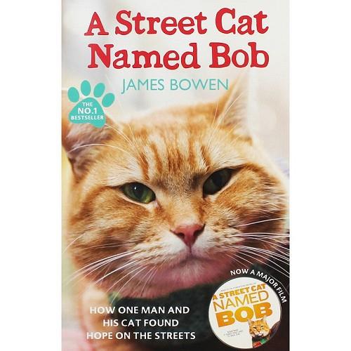 STREET CAT NAMED BOB, A | 9781444737110 | BOWEN, JAMES | Llibreria Drac - Llibreria d'Olot | Comprar llibres en català i castellà online