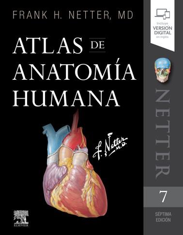 ATLAS DE ANATOMÍA HUMANA (7ª ED.) | 9788491134688 | NETTER, FRANK H. | Llibreria Drac - Llibreria d'Olot | Comprar llibres en català i castellà online