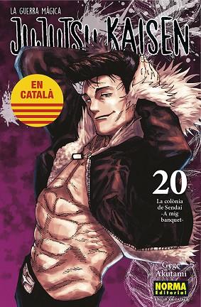 JUJUTSU KAISEN 20 (CATALA) | 9788467969924 | AKUTAMI, GEGE | Llibreria Drac - Llibreria d'Olot | Comprar llibres en català i castellà online