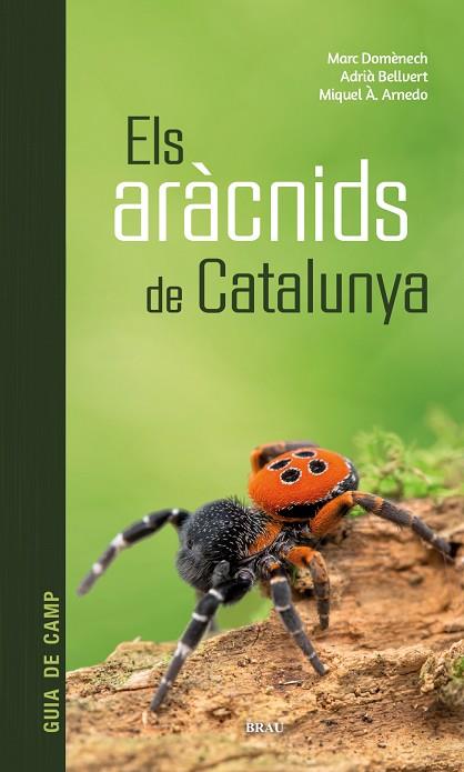 ARÀCNIDS DE CATALUNYA, ELS | 9788418096686 | DOMÈNECH, MARC; BELLVERT, ADRIÀ; ARNEDO, MIQUEL ÀNGEL | Llibreria Drac - Llibreria d'Olot | Comprar llibres en català i castellà online