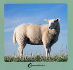 ANIMALS DE LA GRANJA 2 | 9788412683608 | AA.DD. | Llibreria Drac - Llibreria d'Olot | Comprar llibres en català i castellà online