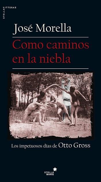 COMO CAMINOS EN LA NIEBLA | 9788416541348 | MORELLA, JOSÉ | Llibreria Drac - Llibreria d'Olot | Comprar llibres en català i castellà online