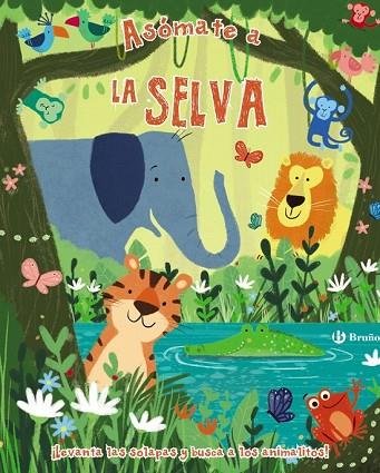 ASÓMATE A LA SELVA | 9788469622841 | AA.DD. | Llibreria Drac - Llibreria d'Olot | Comprar llibres en català i castellà online