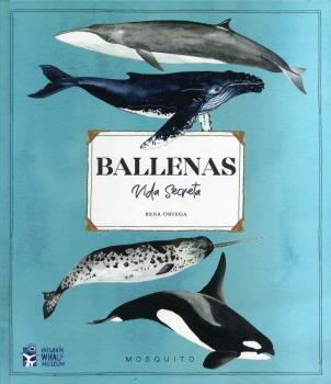 BALLENAS VIDA SECRETA | 9788412247947 | ORTEGA, RENA | Llibreria Drac - Llibreria d'Olot | Comprar llibres en català i castellà online