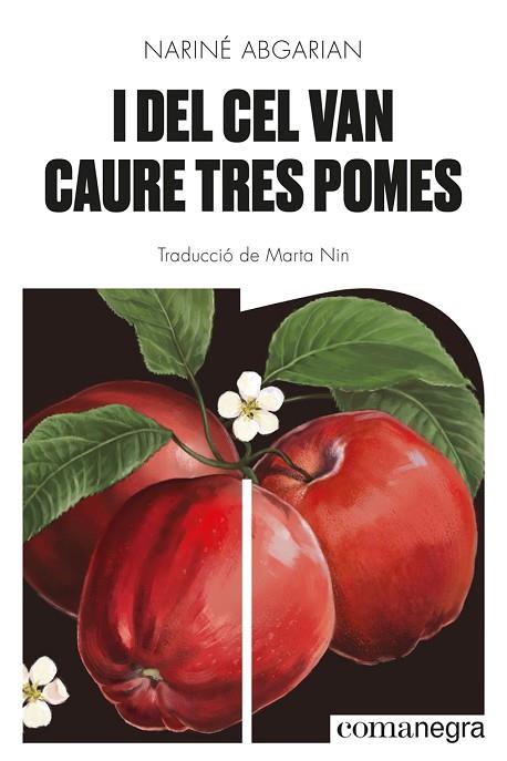 I DEL CEL VAN CAURE TRES POMES | 9788418857041 | ABGARIAN, NARINÉ | Llibreria Drac - Llibreria d'Olot | Comprar llibres en català i castellà online