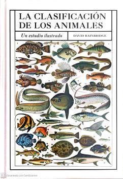 CLASIFICACION DE LOS ANIMALES, LA | 9788428217521 | BAINBRIDGE, DAVID | Llibreria Drac - Librería de Olot | Comprar libros en catalán y castellano online