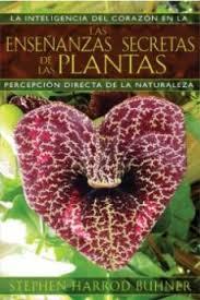 ENSEÑANZAS SECRETAS DE LAS PLANTAS, LAS | 9781594774140 | HARROD, STEPHEN | Llibreria Drac - Llibreria d'Olot | Comprar llibres en català i castellà online