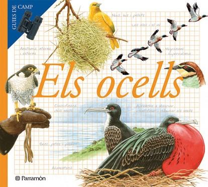 OCELLS, ELS | 9788434228283 | AA.VV. | Llibreria Drac - Librería de Olot | Comprar libros en catalán y castellano online