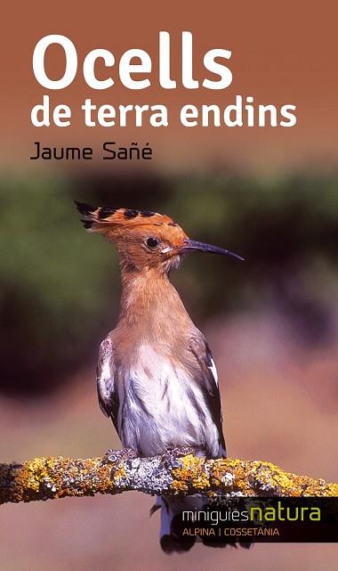 OCELLS DE TERRA ENDINS (MINIGUIES NATURA 9) | 9788490343357 | SAÑÉ, JAUME | Llibreria Drac - Librería de Olot | Comprar libros en catalán y castellano online